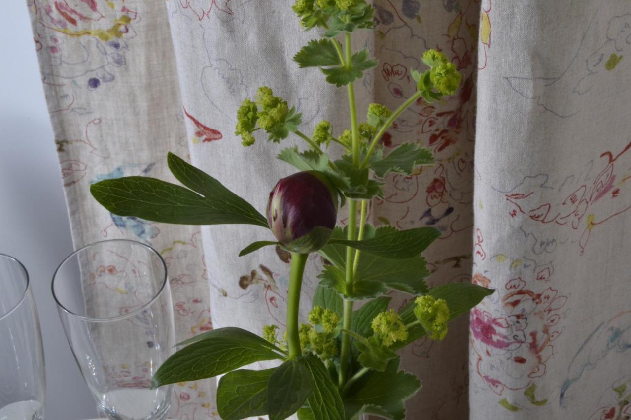 Romantisches Bed&Breakfast Apfelstern Unterwornitz Экстерьер фото